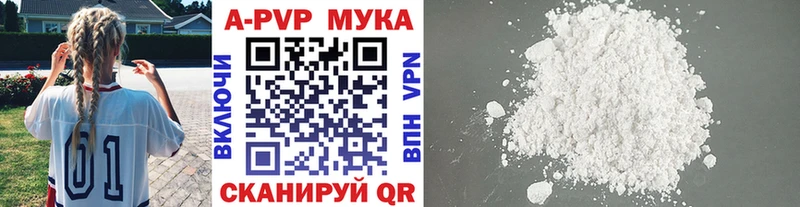Купить наркотики цена Шенкурск Каннабис  Кокаин  Псилоцибиновые грибы  МЕФ 