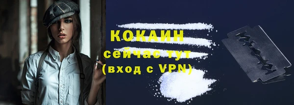 дживик Михайловск