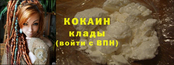 дживик Михайловск